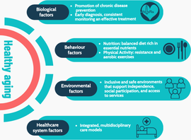 Longevity And Healthy Aging Trends